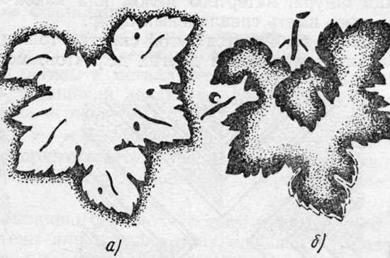 Прямые и обратные трафареты