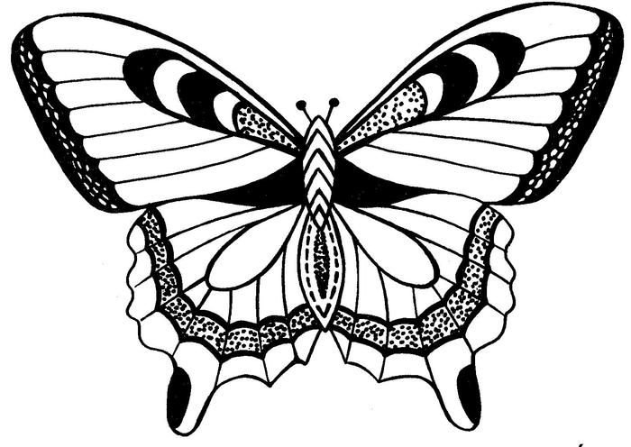 Трафареты бабочки