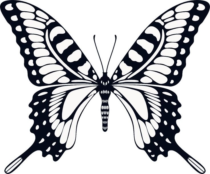Бабочка рисунок