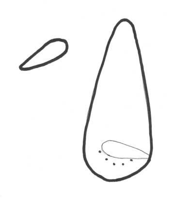 Нос снеговика раскраска