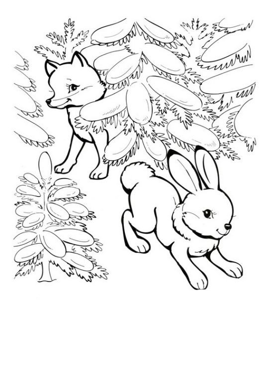 Лесные животные раскраска для детей