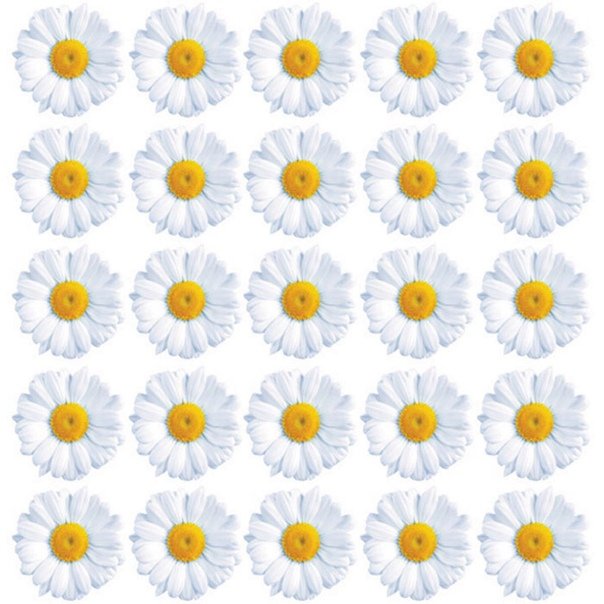 Ромашки для вырезания цветные