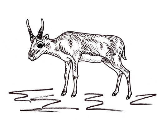 Трафарет сайгака