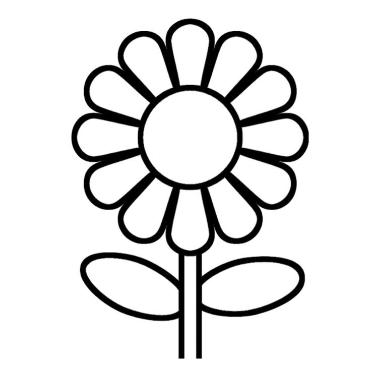 Цветок Ромашка раскраска для детей