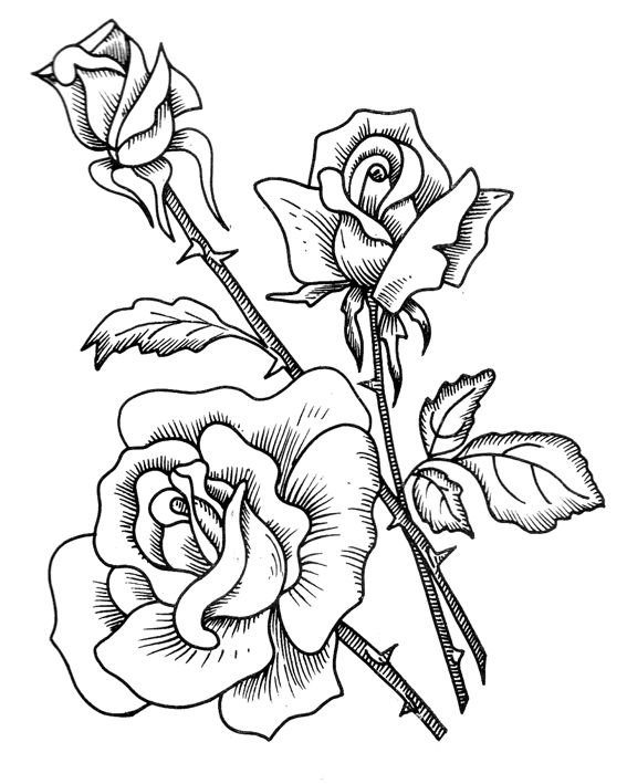 Рисунки цветов для выжигания