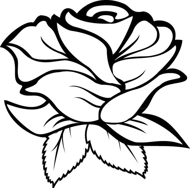 Роза раскраска для детей