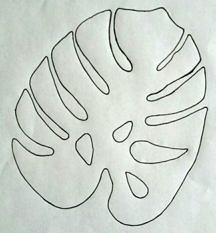 Лист монстеры трафарет для вырезания