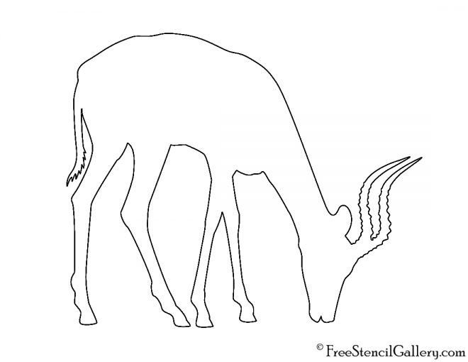 Сайгак контур