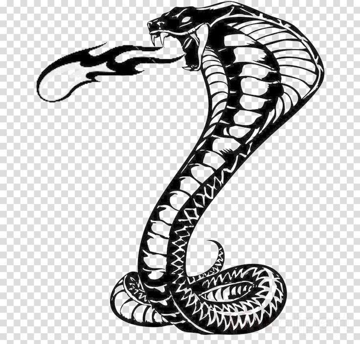 Змея тату эскиз