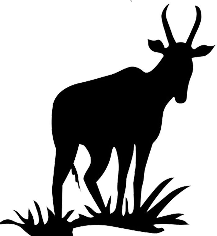 Сайгак силуэт