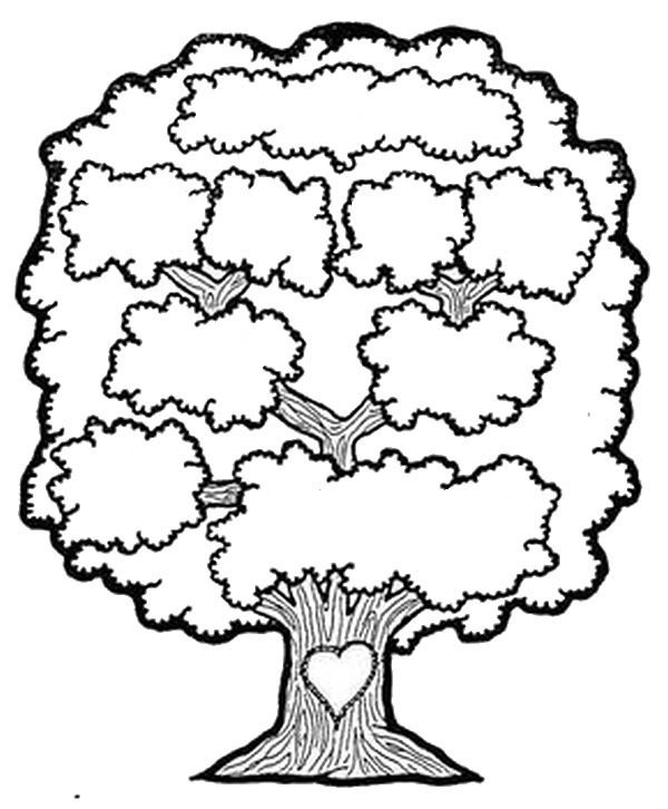 Семейное Древо my Family Tree