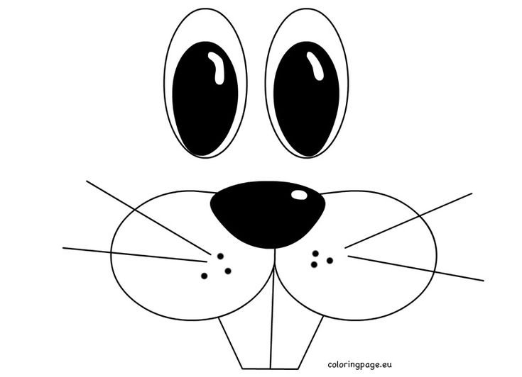 Глаза и нос зайца