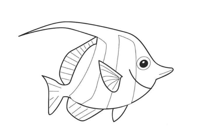 Рыба раскраска для детей