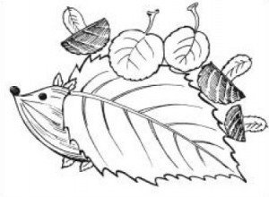 Шаблон для аппликации из листьев