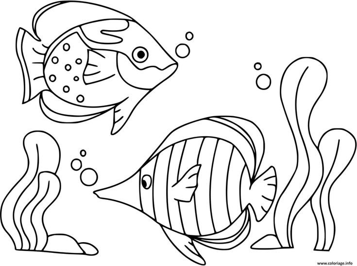 Рыба раскраска