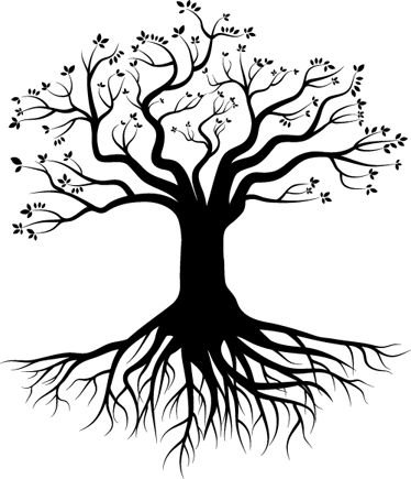 Ветвистое дерево с корнями