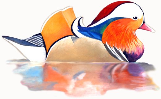 Рисунок утки мандаринки