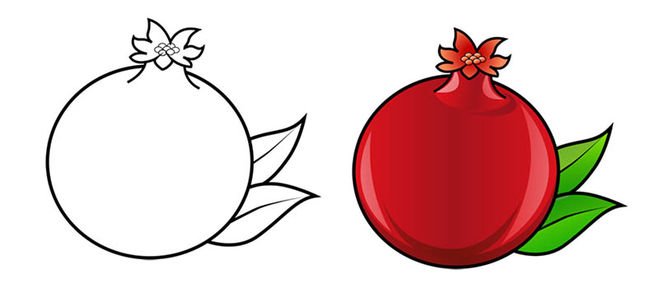 Гранат рисунок