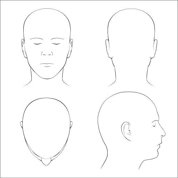 Голова для рисования схем стрижек