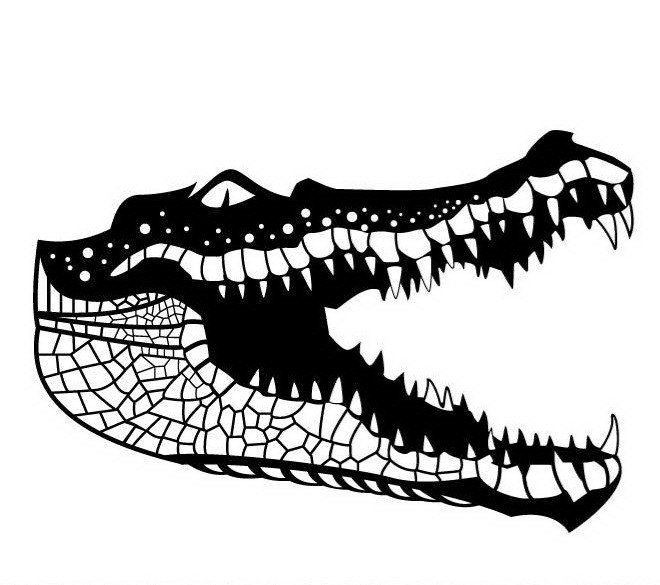 Крокодил рисунок