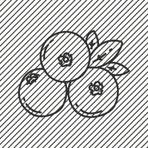 Черника раскраска