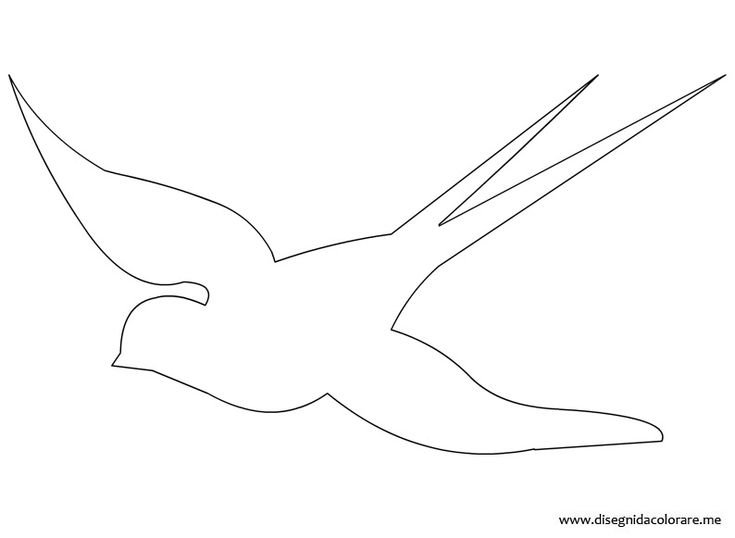 Ласточка контур