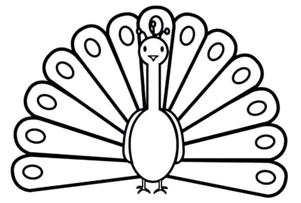 Раскраска павлина