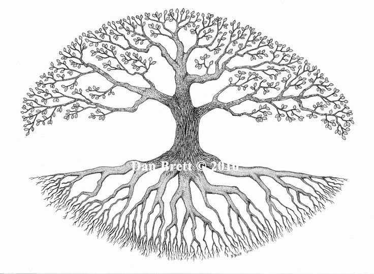 Родовое дерево с корнями