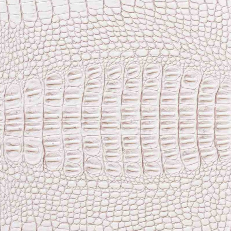 кожа крокодила