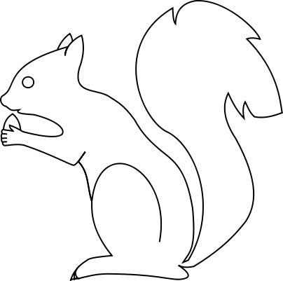 Белка раскраска