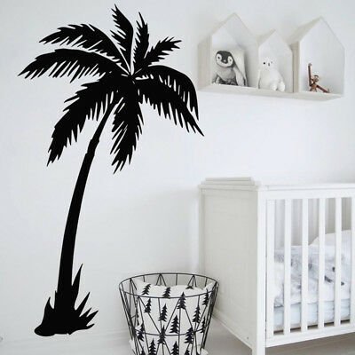 Пальма интерьерная