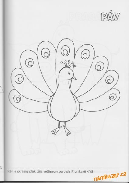 Сказочная птица раскраска