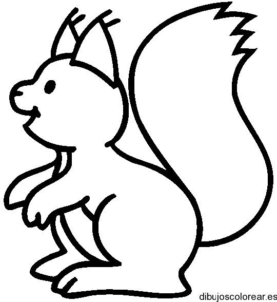 Белка раскраска