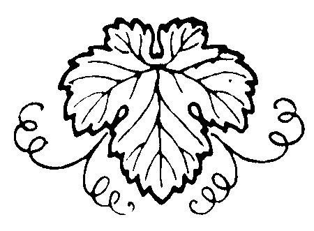 Виноградный лист трафарет