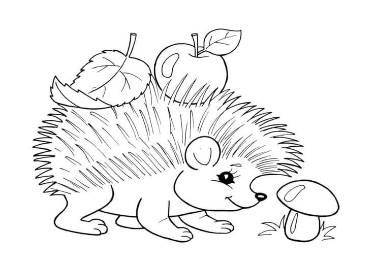 Раскраска Ёжик