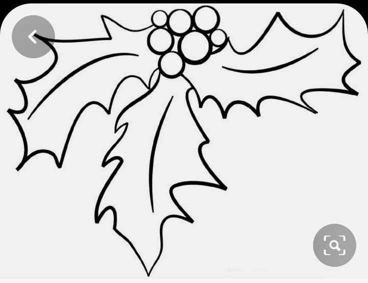 Рождественский остролист раскраска