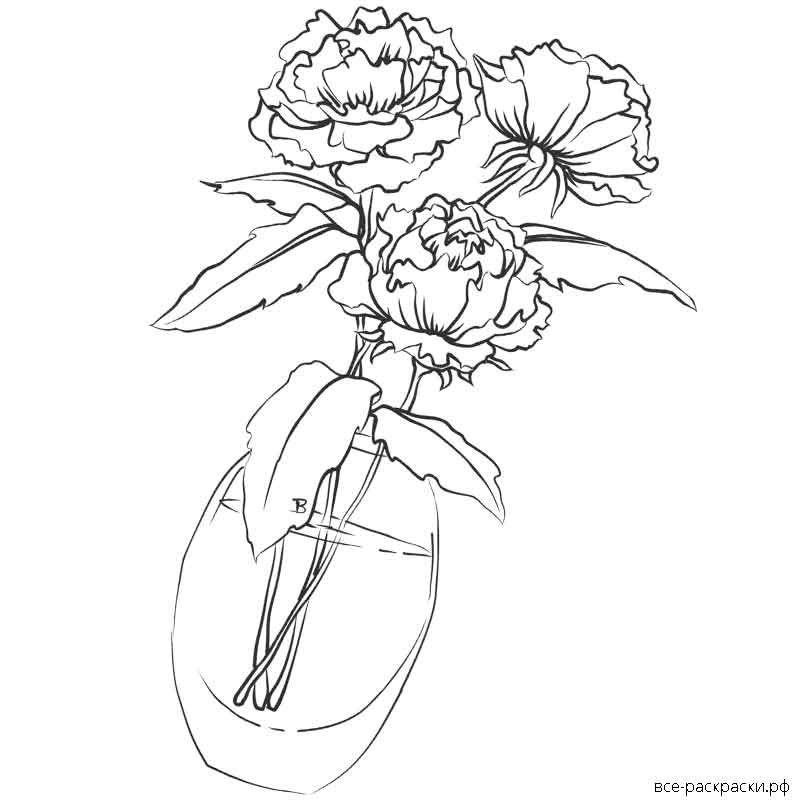 Ваза с пионами раскраска