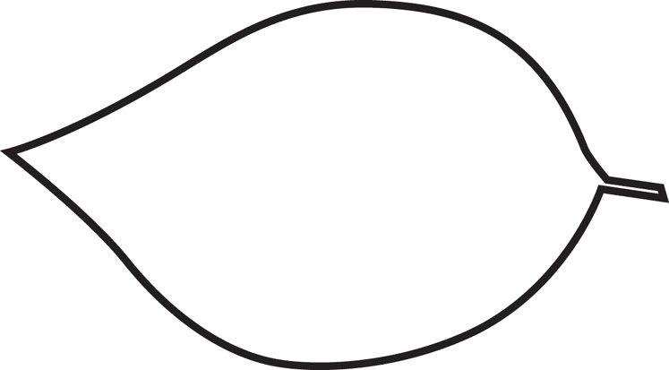 Шаблоны листьев