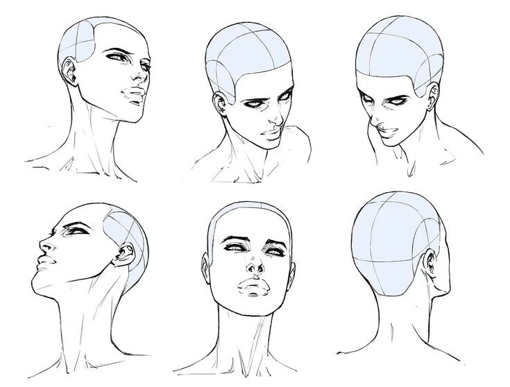 Женская голова в разных ракурсах