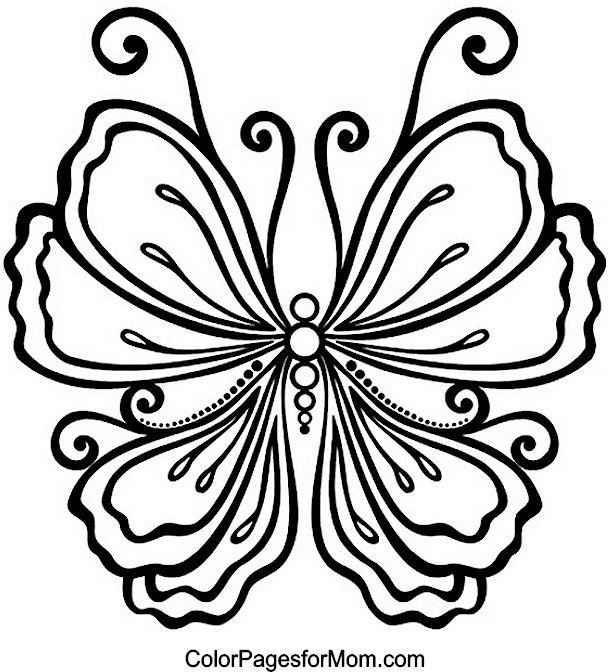 Джутовая филигрань трафареты бабочка