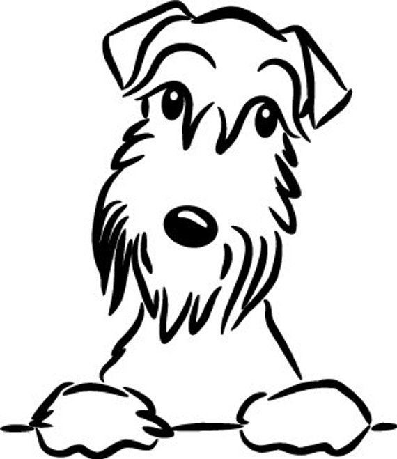 Шнауцер терьер карандаш