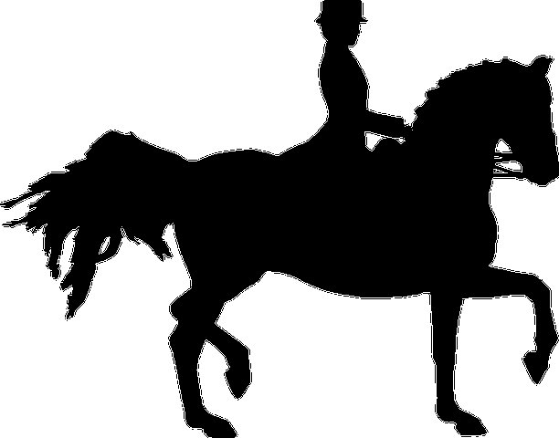 Силуэт лошади