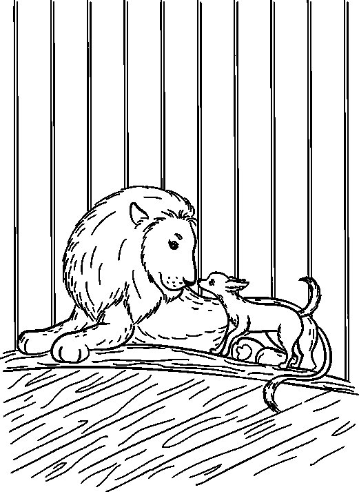 Раскраска к рассказу Лев и собачка Льва Толстого