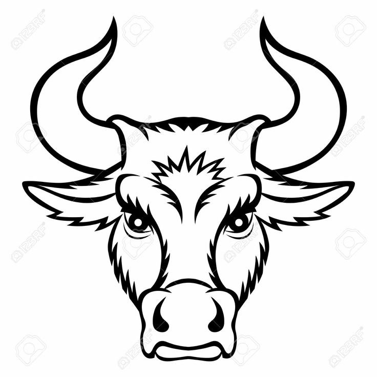 Нарисовать морду быка