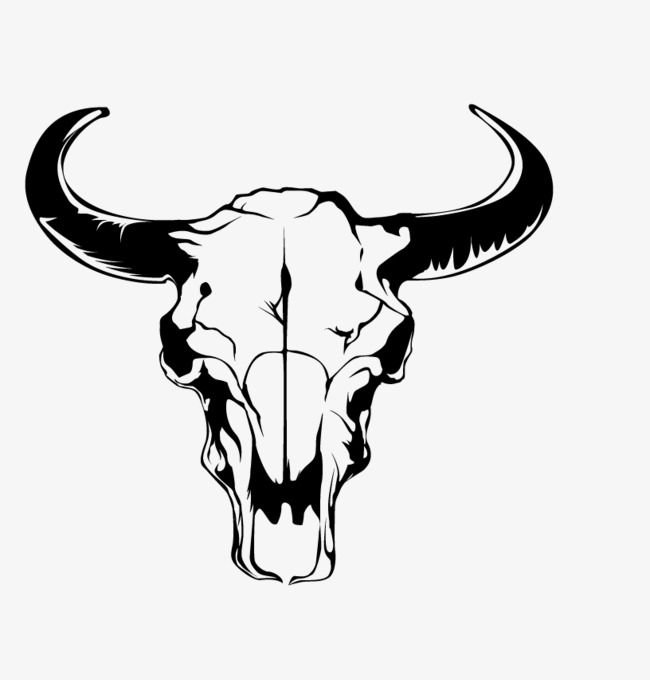 Череп коровы