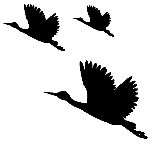 Силуэт птицы