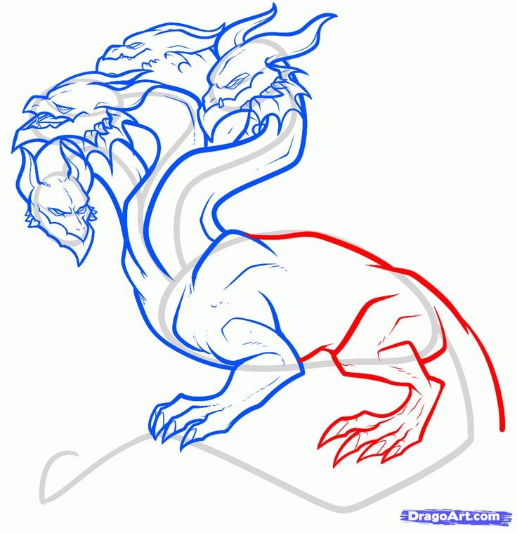 Нарисовать гидру