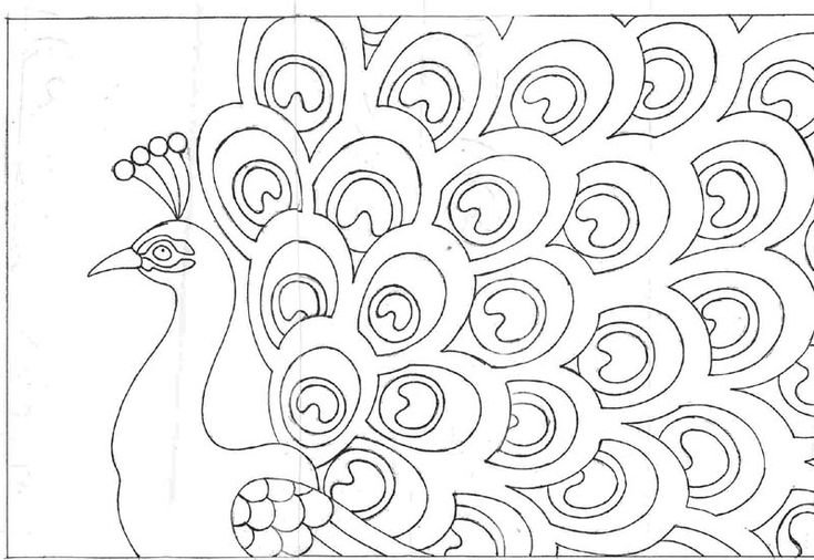 Жар птица раскраска для детей