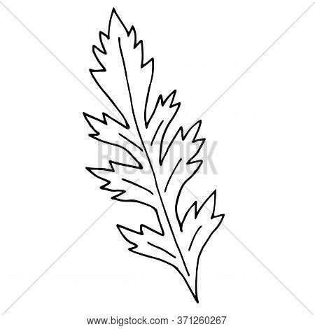 Лист ромашки трафарет для вырезания