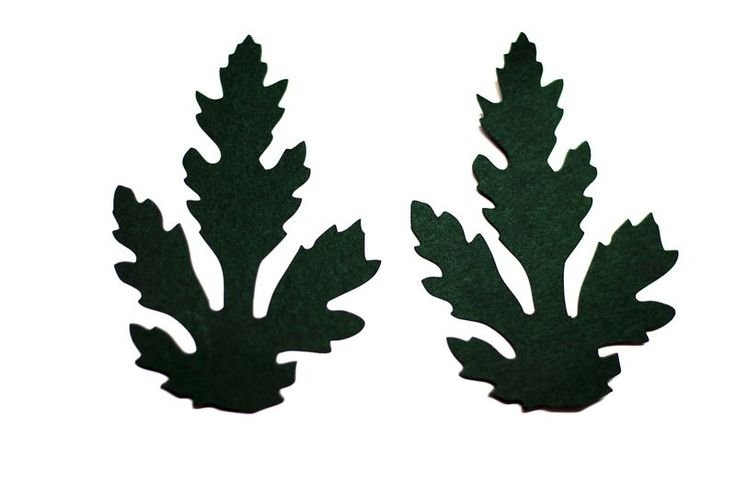 Листья хризантемы